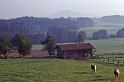 WT 4300 390-25 Austria